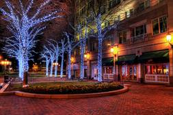 Reston Business Landscape